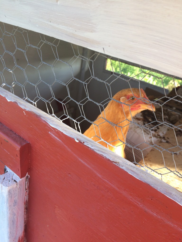 Buffy the Wormslayer