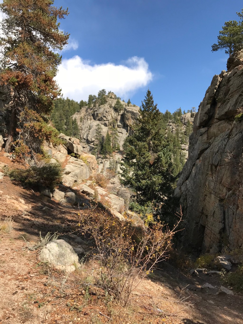 Scenic Drive (an&nbsp;Understatement)