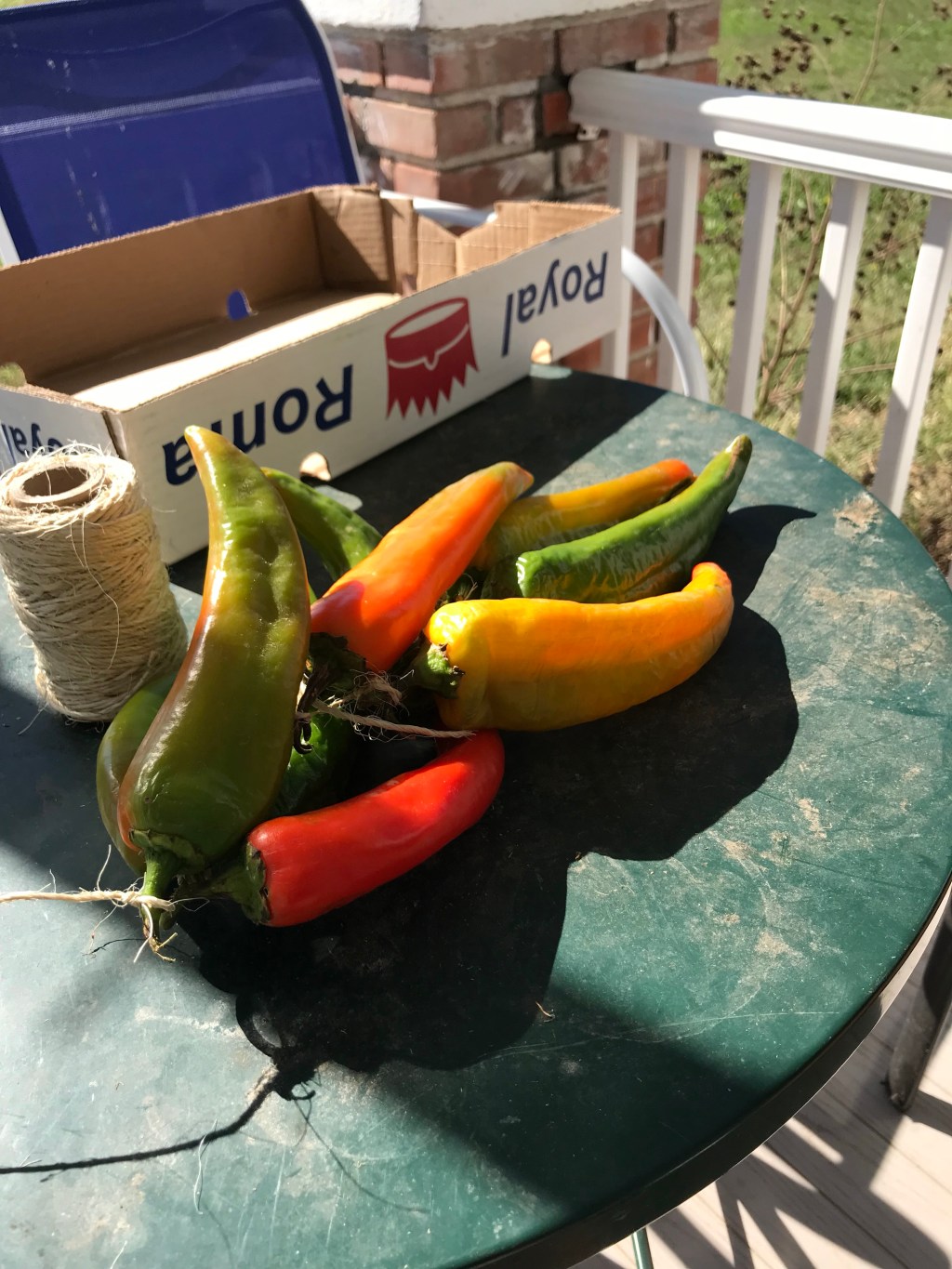 Making a Chili Ristra in 10 Easy Steps 