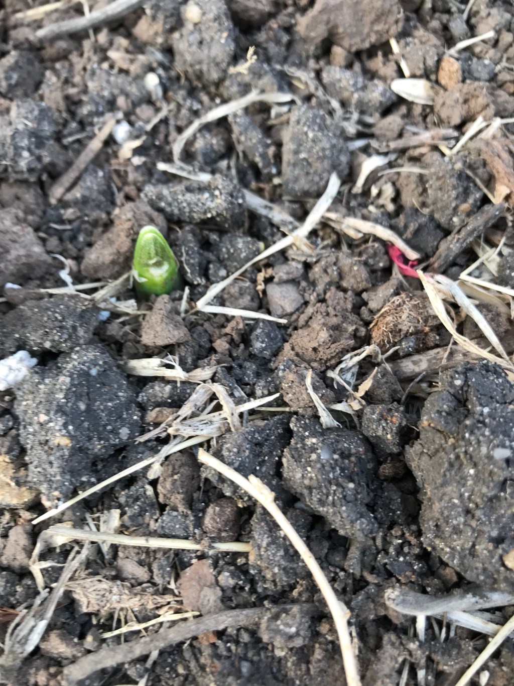 It’s the most wonderful time of the&nbsp;year