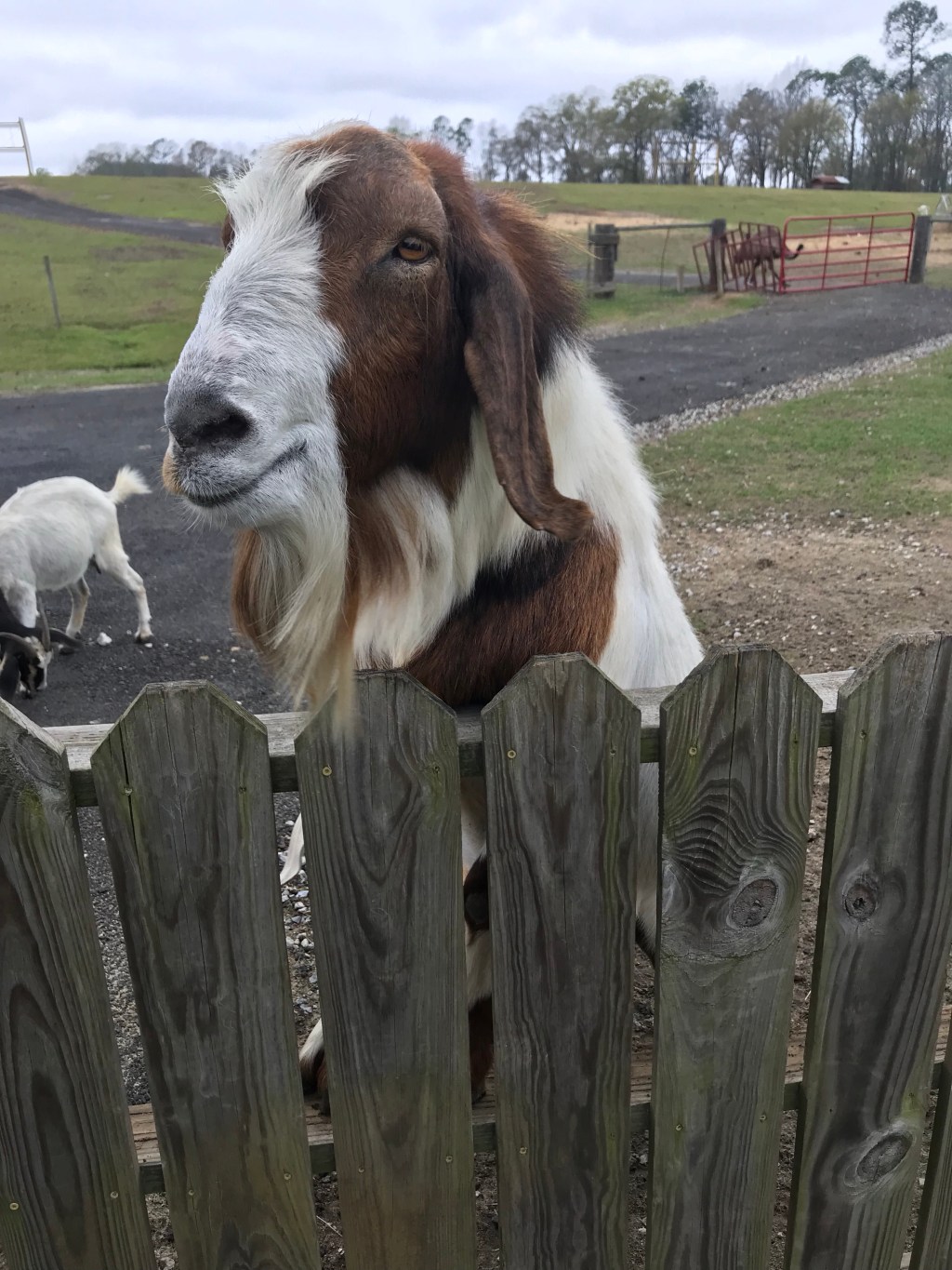 Birmingham to Hilton&nbsp;Head