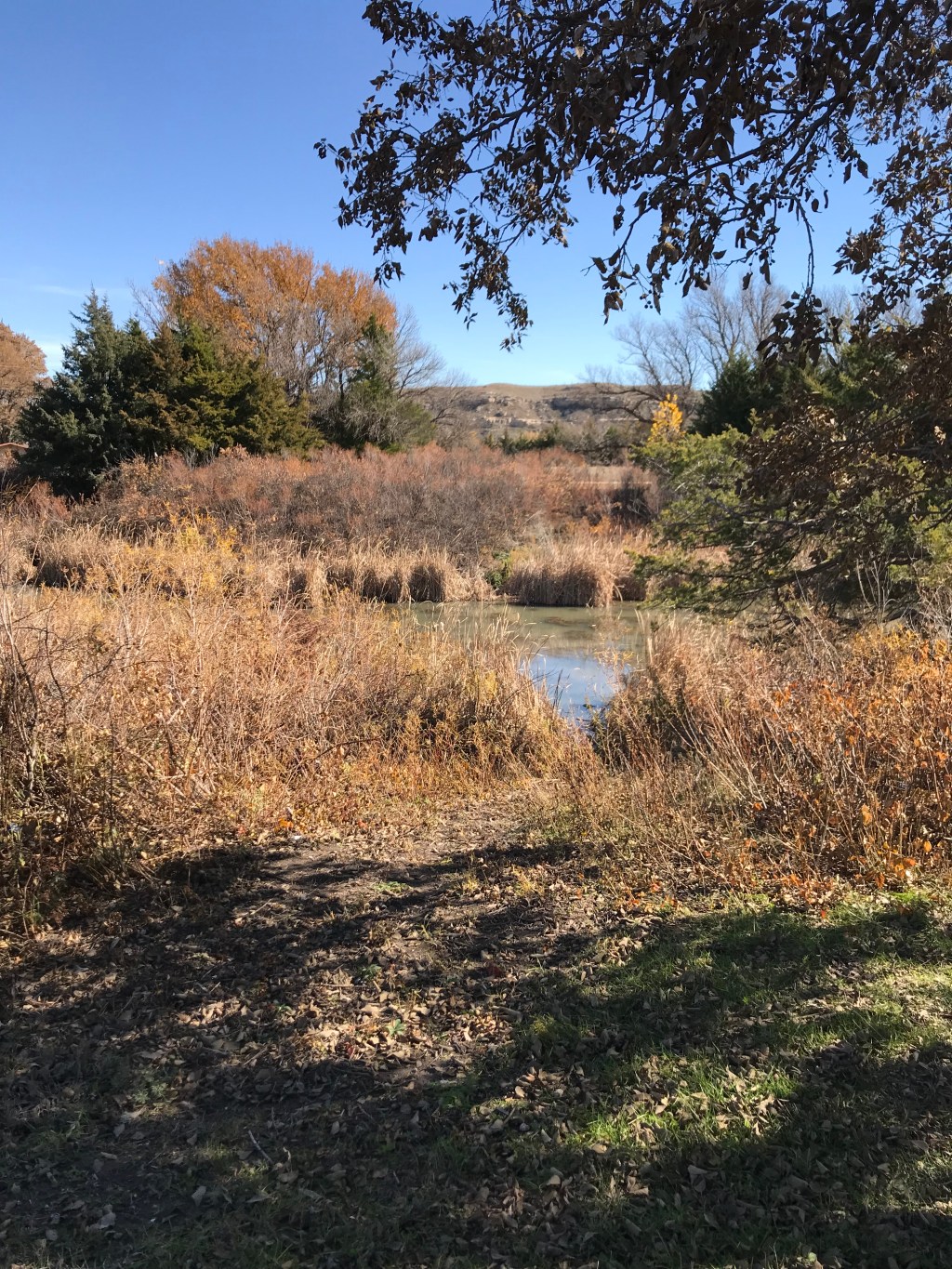 Belated Birthday Trip