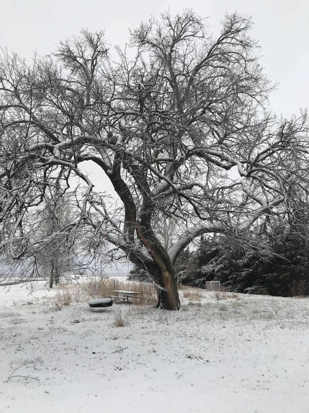 Snow day, slow&nbsp;day.