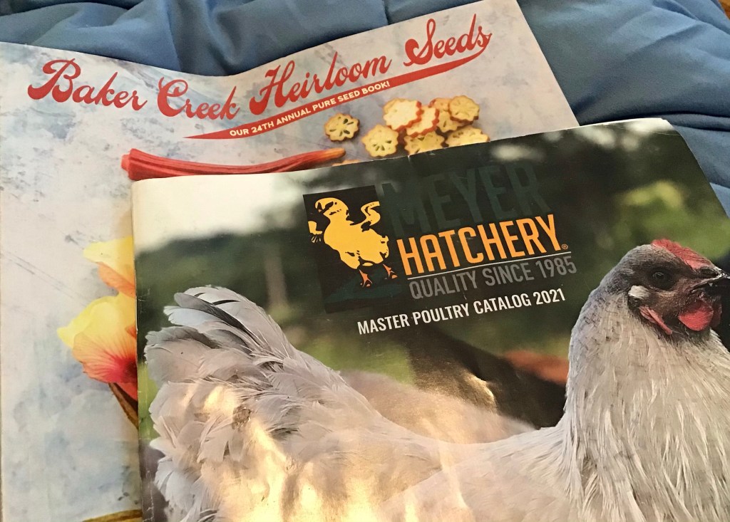 Christmas in Quaranisolation